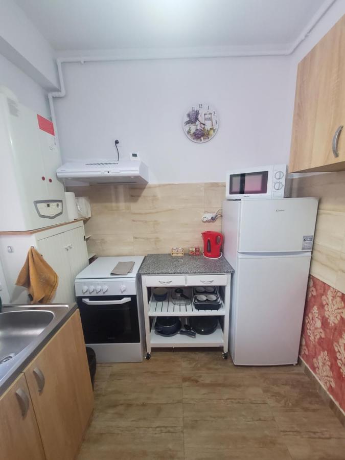 Morii Lake Special Apartment Бухарест Экстерьер фото